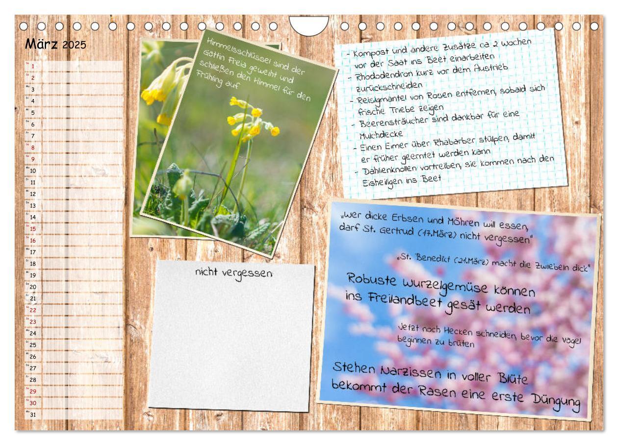 Bild: 9783435133116 | Was ist noch im Garten zu tun? (Wandkalender 2025 DIN A4 quer),...