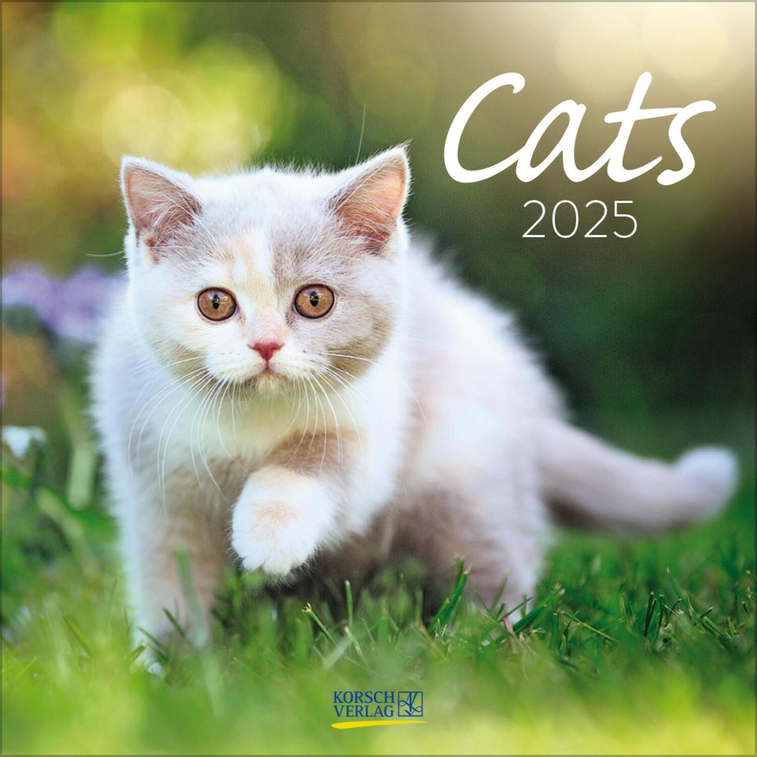 Cover: 9783731876373 | Cats 2025 | Verlag Korsch | Kalender | 13 S. | Deutsch | 2025