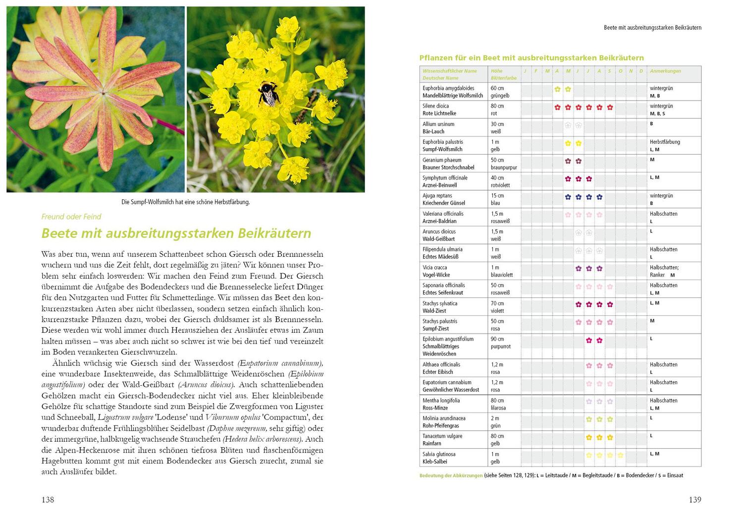 Bild: 9783895664120 | Kleiner Garten naturnah | Ulrike Aufderheide | Buch | 176 S. | Deutsch