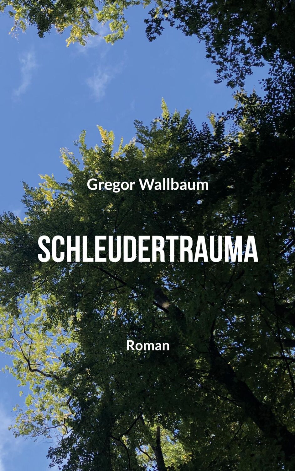 Cover: 9783756843404 | Schleudertrauma | Gregor Wallbaum | Taschenbuch | Paperback | 272 S.