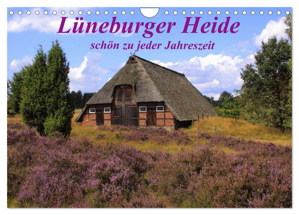 Cover: 9783435679232 | Lüneburger Heide - schön zu jeder Jahreszeit (Wandkalender 2025 DIN...