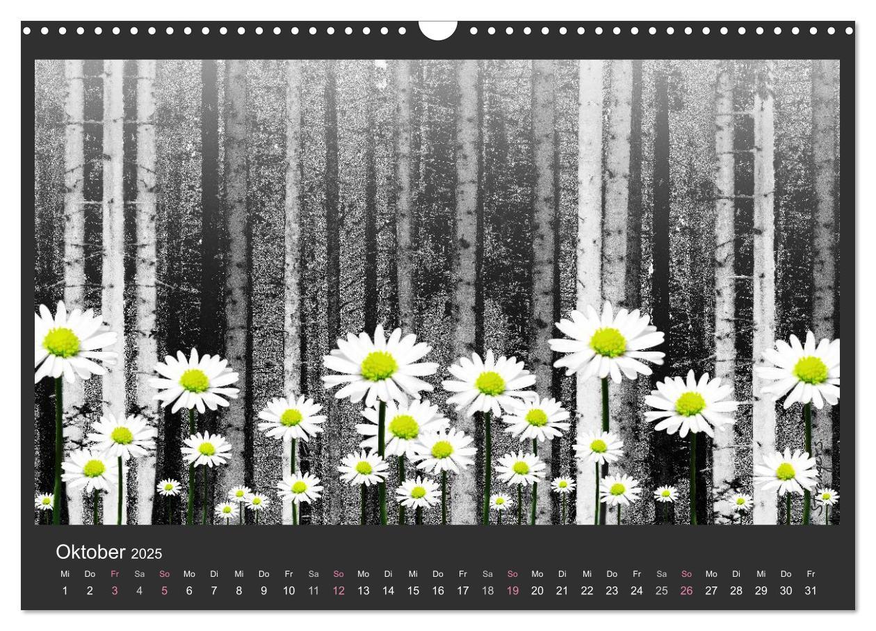 Bild: 9783435649235 | Schwarzwald. Anders. (Wandkalender 2025 DIN A3 quer), CALVENDO...