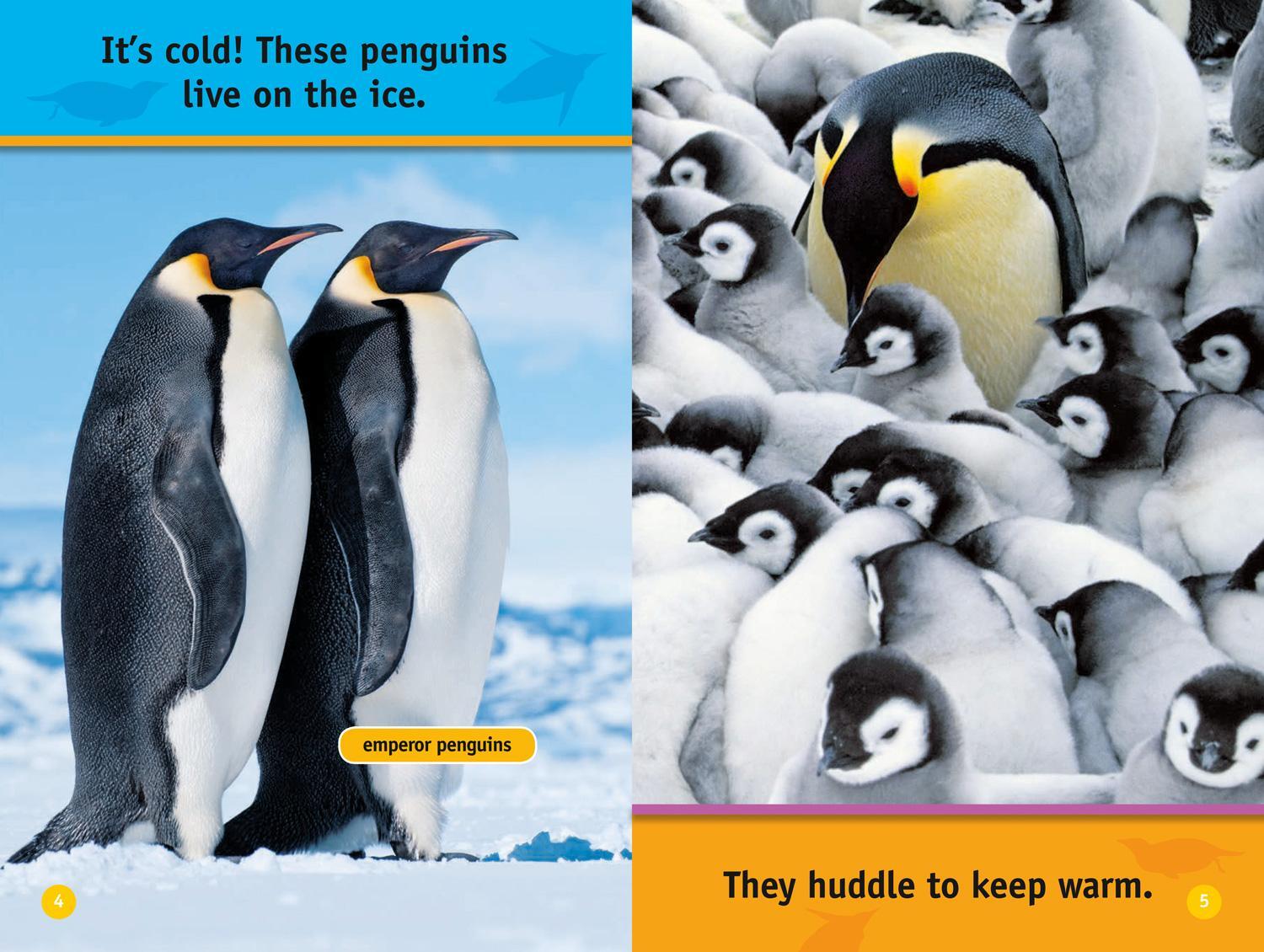 Bild: 9780008422202 | Hello, Penguin! | Level 1 | Kathryn Williams (u. a.) | Taschenbuch