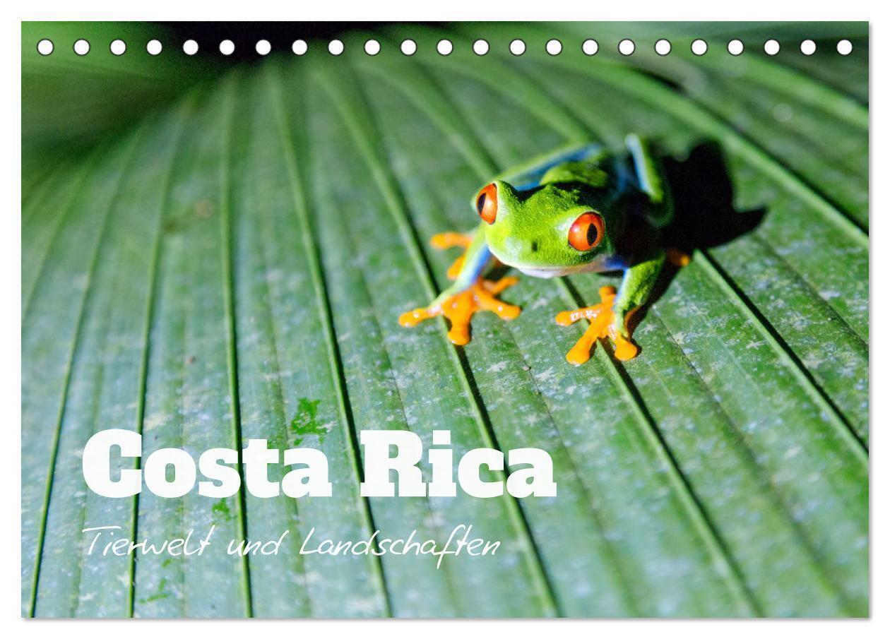 Cover: 9783675647619 | Costa Rica - Tierwelt und Landschaften (Tischkalender 2024 DIN A5...