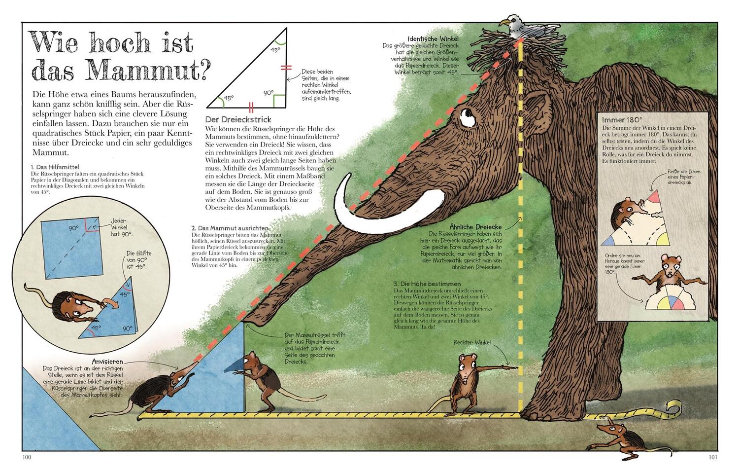 Bild: 9783831046195 | Das Mammut-Buch Mathematik | David Macaulay | Buch | 160 S. | Deutsch