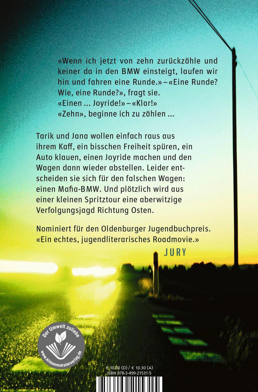 Rückseite: 9783733508517 | Joyride Ost | Ein Roadmovie-Roman | Thorsten Nesch | Taschenbuch