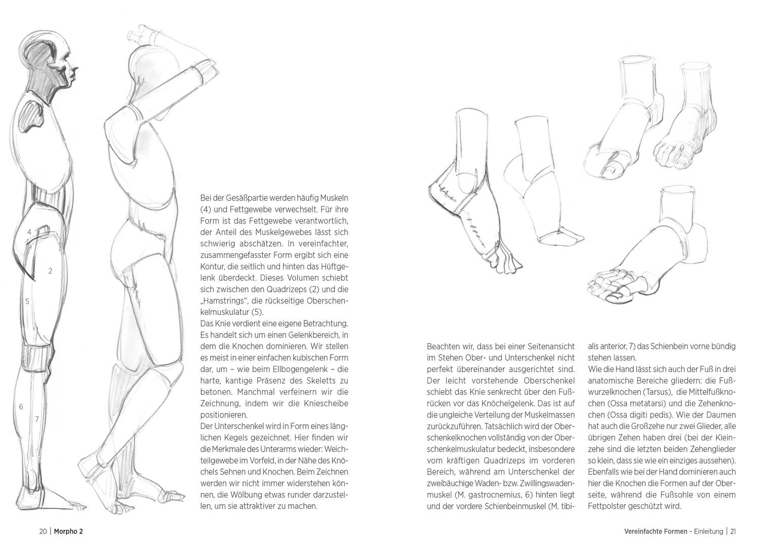 Bild: 9783830714576 | Morpho 2. Mehr Anatomie für Künstler | Michel Lauricella | Taschenbuch