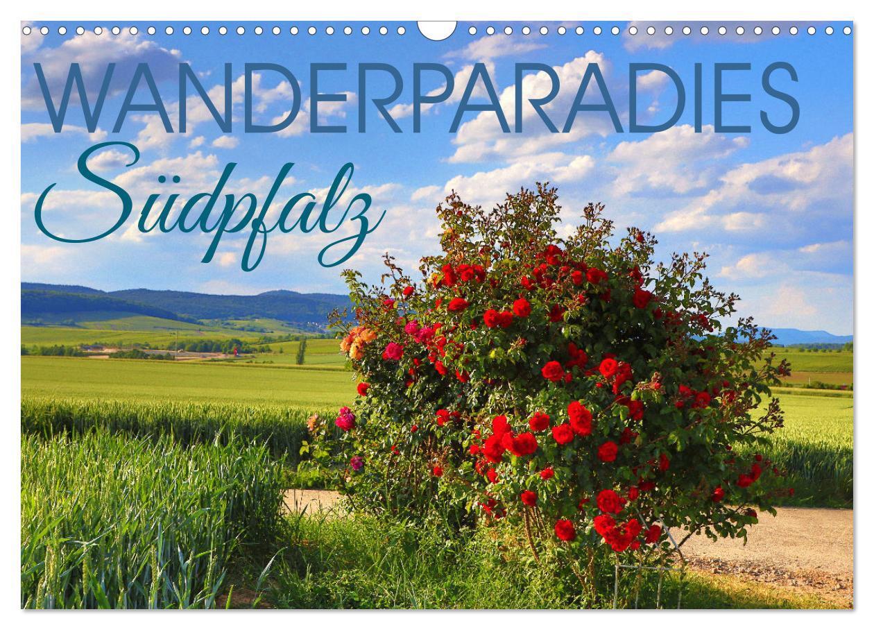 Cover: 9783383704376 | Wanderparadies Südpfalz (Wandkalender 2024 DIN A3 quer), CALVENDO...