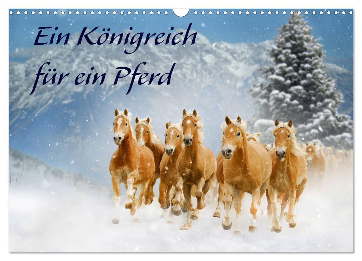 Cover: 9783675520349 | Ein Königreich für ein Pferd (Wandkalender 2024 DIN A3 quer),...