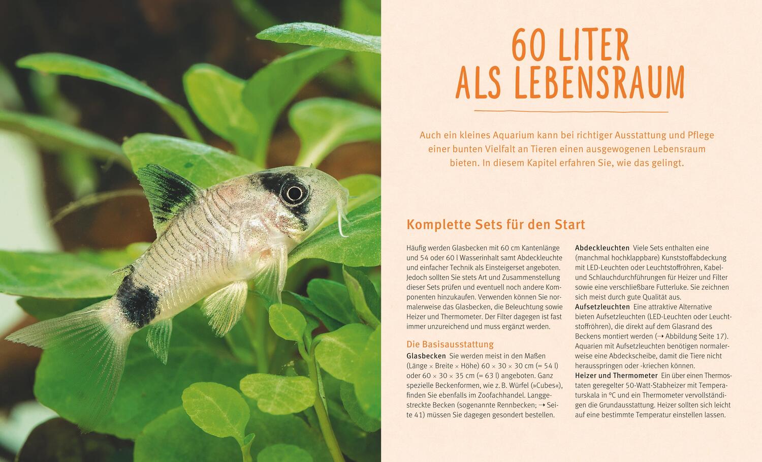 Bild: 9783833855085 | Kleine Aquarien | 60 Liter spannender Lebensraum | Ulrich Schliewen