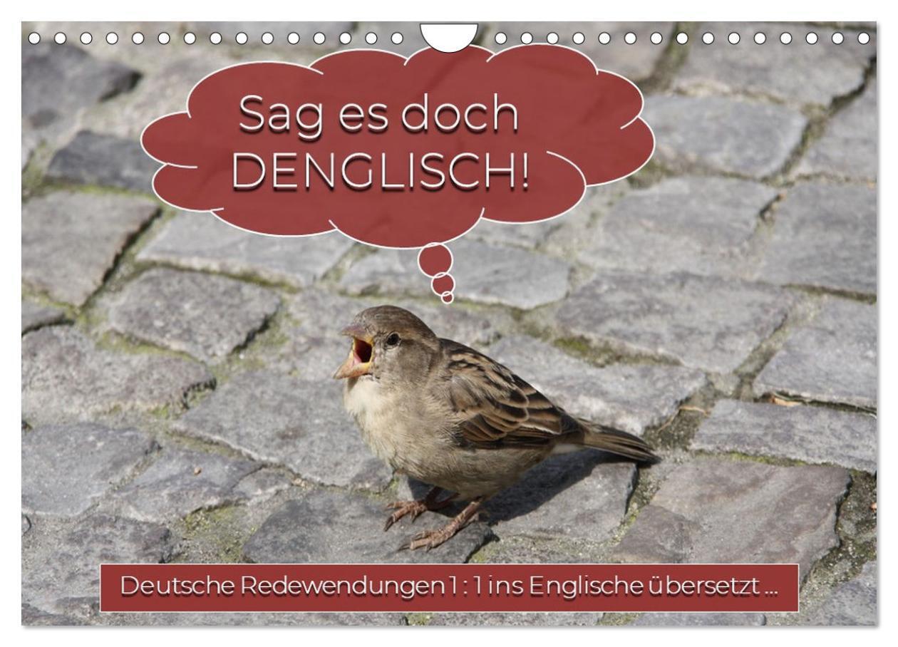 Cover: 9783435075058 | Sag es doch DENGLISCH (Wandkalender 2025 DIN A4 quer), CALVENDO...