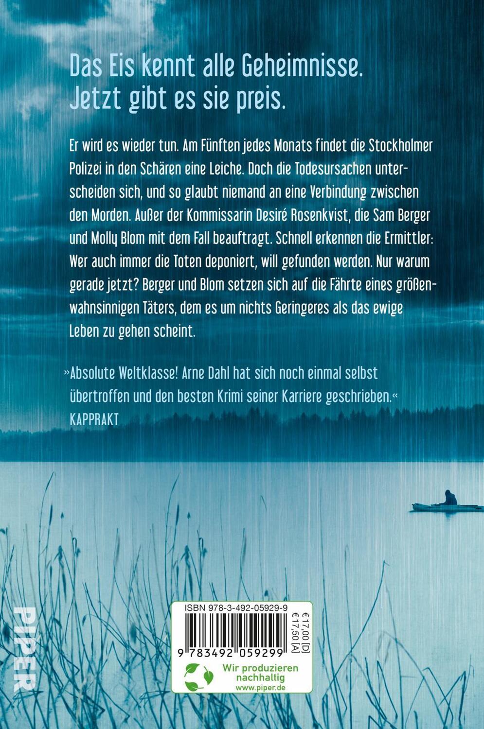 Rückseite: 9783492059299 | Null gleich eins | Kriminalroman Skandinavischer Krimi aus Schweden