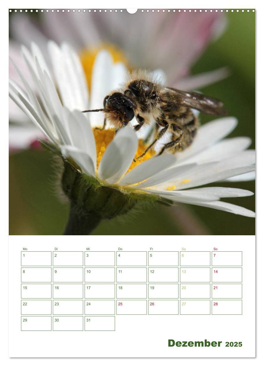 Bild: 9783457030011 | Bienen-Terminplaner 2025 (Wandkalender 2025 DIN A2 hoch), CALVENDO...