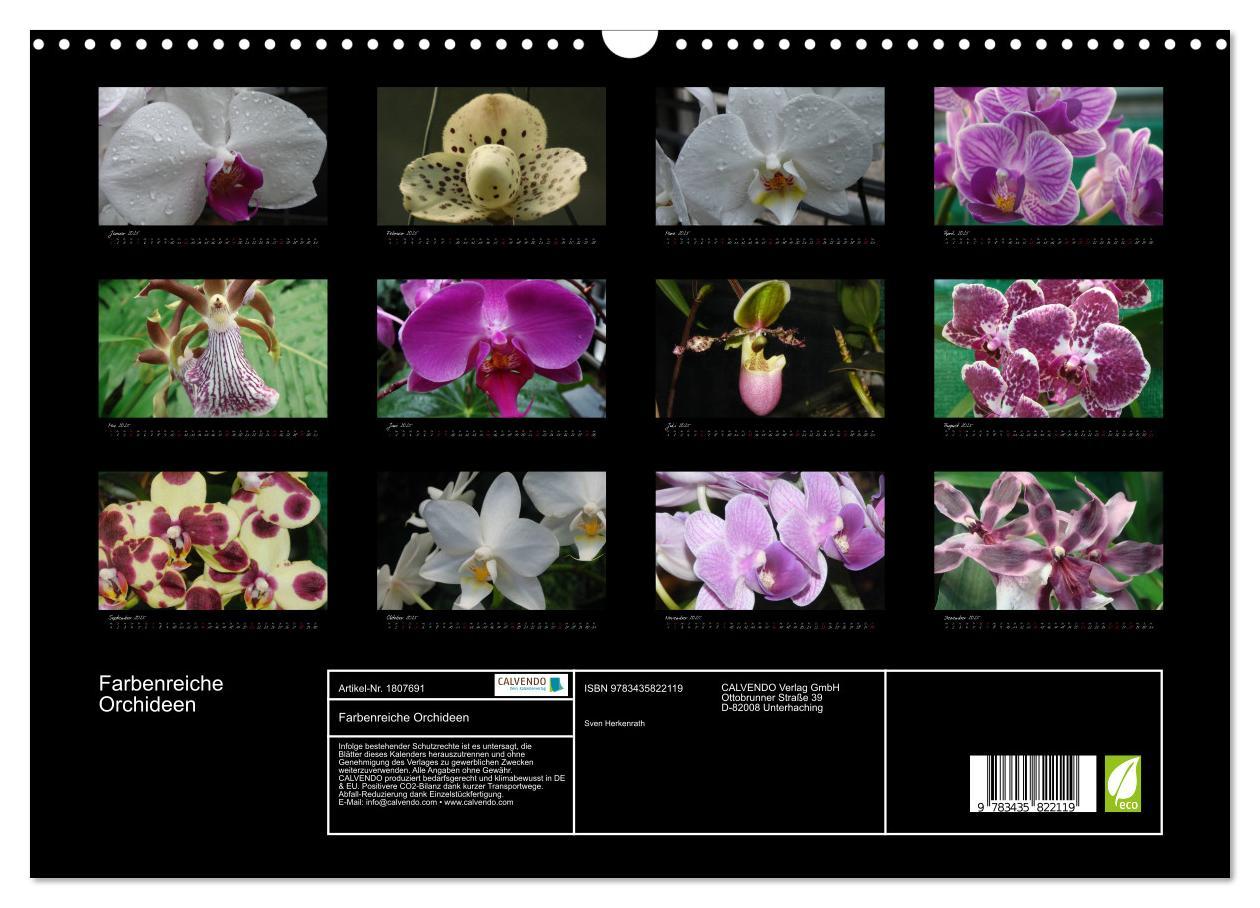 Bild: 9783435822119 | Farbenreiche Orchideen (Wandkalender 2025 DIN A3 quer), CALVENDO...