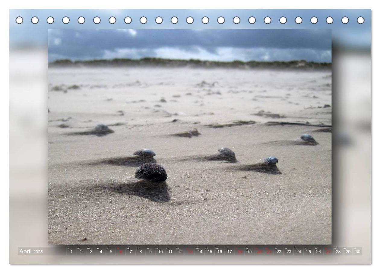 Bild: 9783435682546 | Baltrum - Ein Tag am Strand (Tischkalender 2025 DIN A5 quer),...