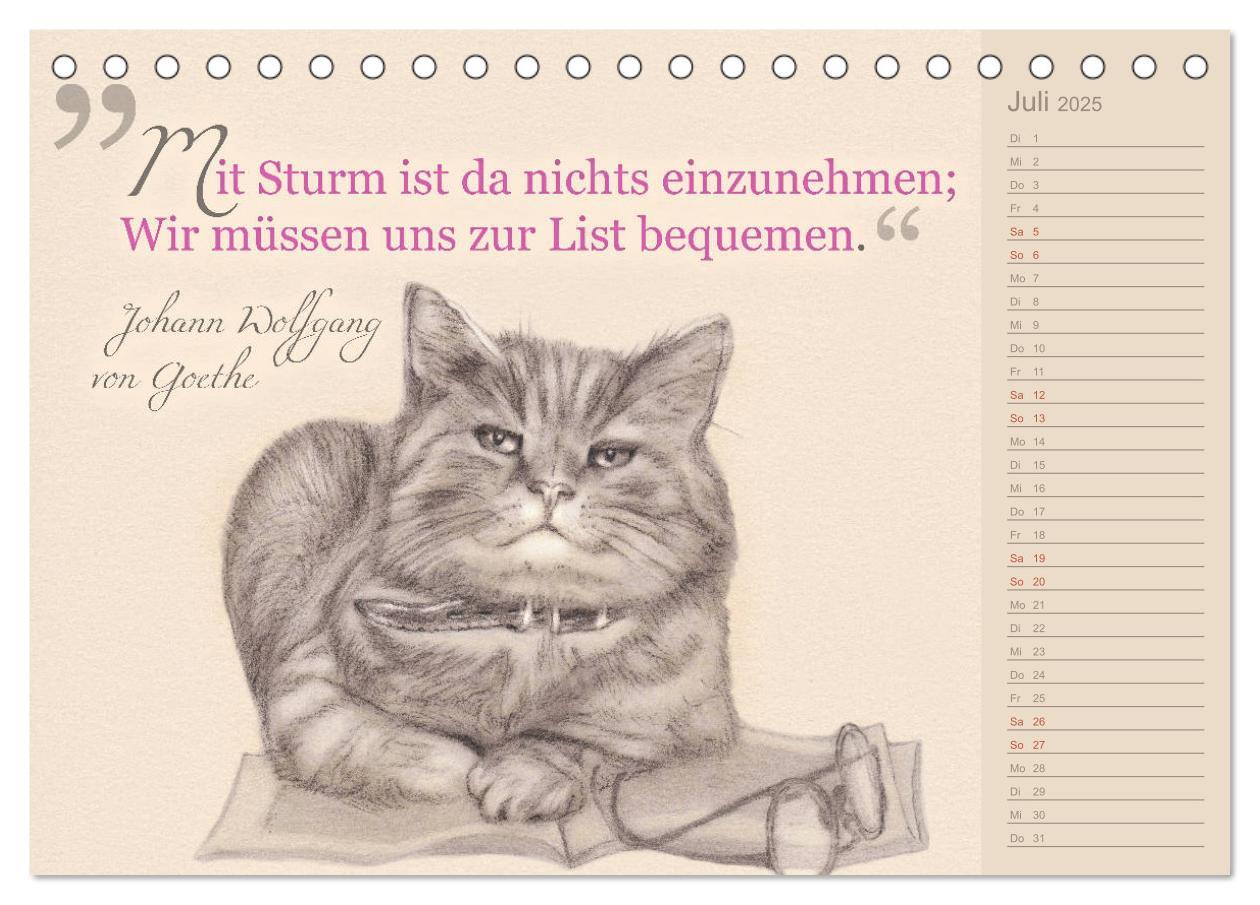 Bild: 9783435454396 | Von Katzen lernen (Tischkalender 2025 DIN A5 quer), CALVENDO...