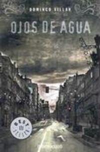 Cover: 9788483464953 | Ojos de agua | Domingo Villar | Taschenbuch | Spanisch | 2007