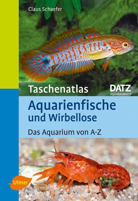 Cover: 9783800167111 | Taschenatlas Aquarienfische und Wirbellose | Das Aquarium von A-Z