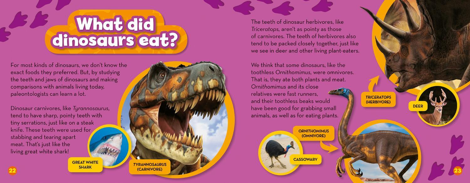 Bild: 9781426327285 | You Can Be a Paleontologist!: Discovering Dinosaurs with Dr. Scott