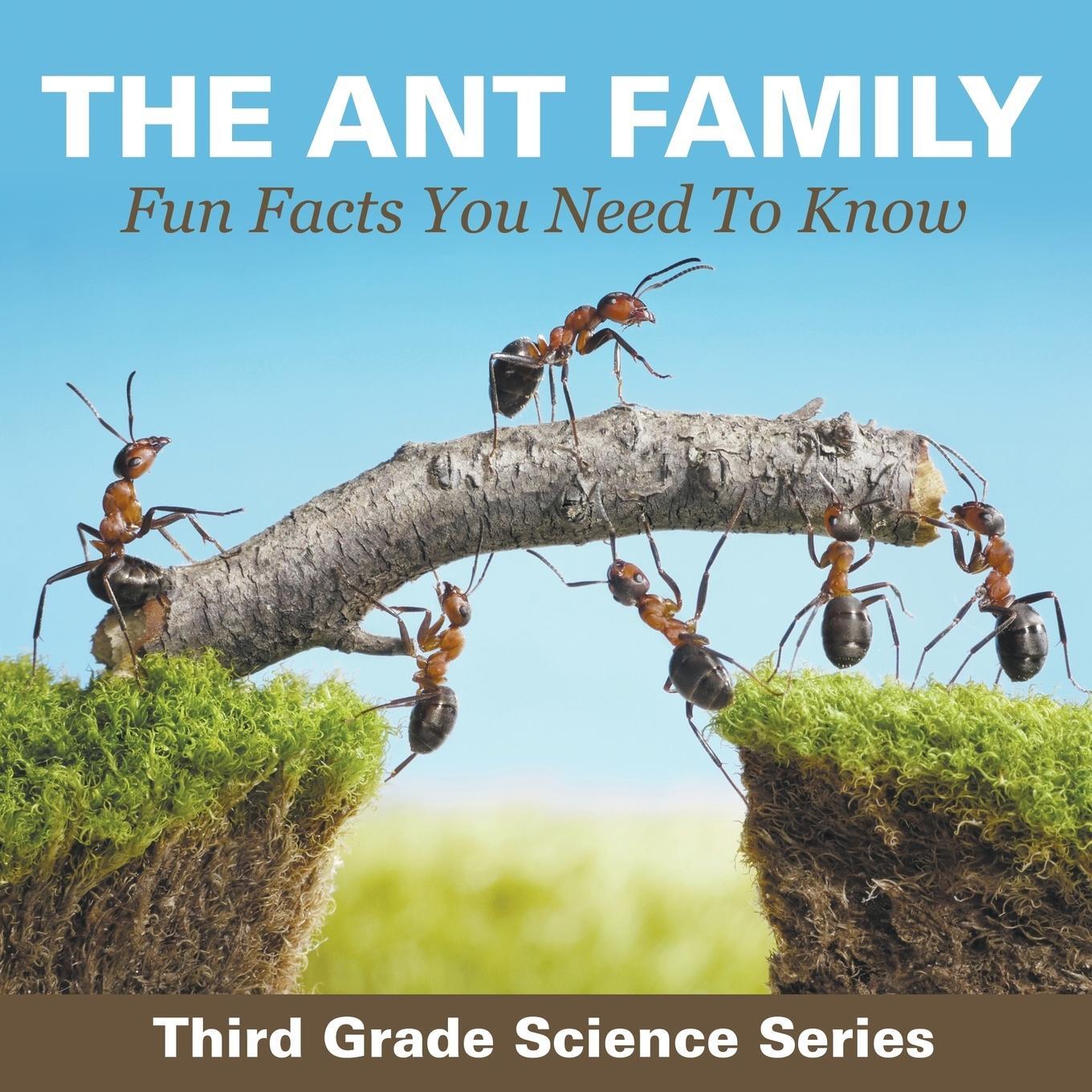 Cover: 9781682800829 | The Ant Family - Fun Facts You Need To Know | Baby | Taschenbuch