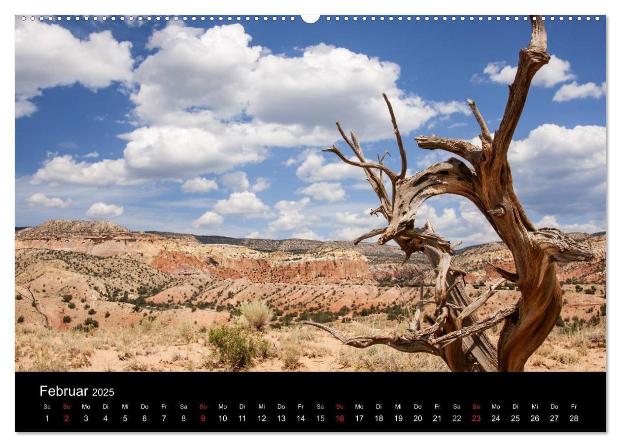 Bild: 9783435812806 | Treasures of New Mexico (Wandkalender 2025 DIN A2 quer), CALVENDO...