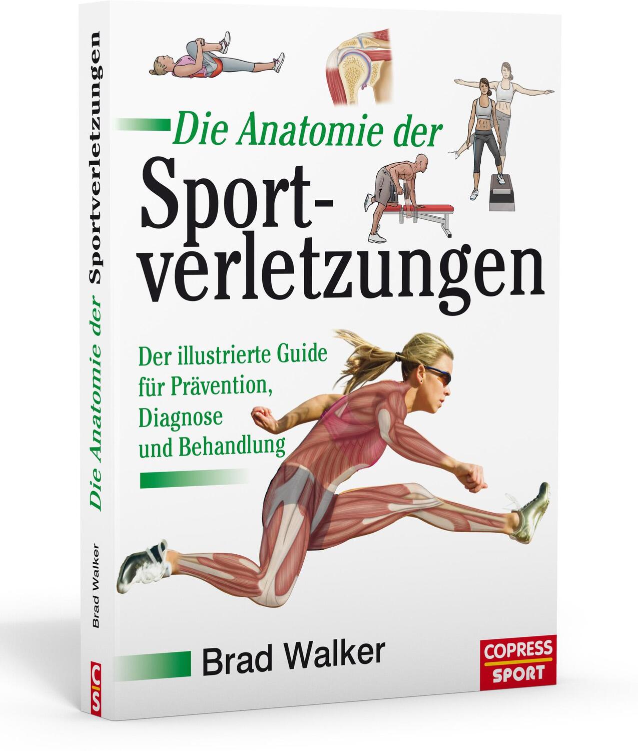 Cover: 9783767912335 | Die Anatomie der Sportverletzungen | Brad Walker | Taschenbuch | 2018