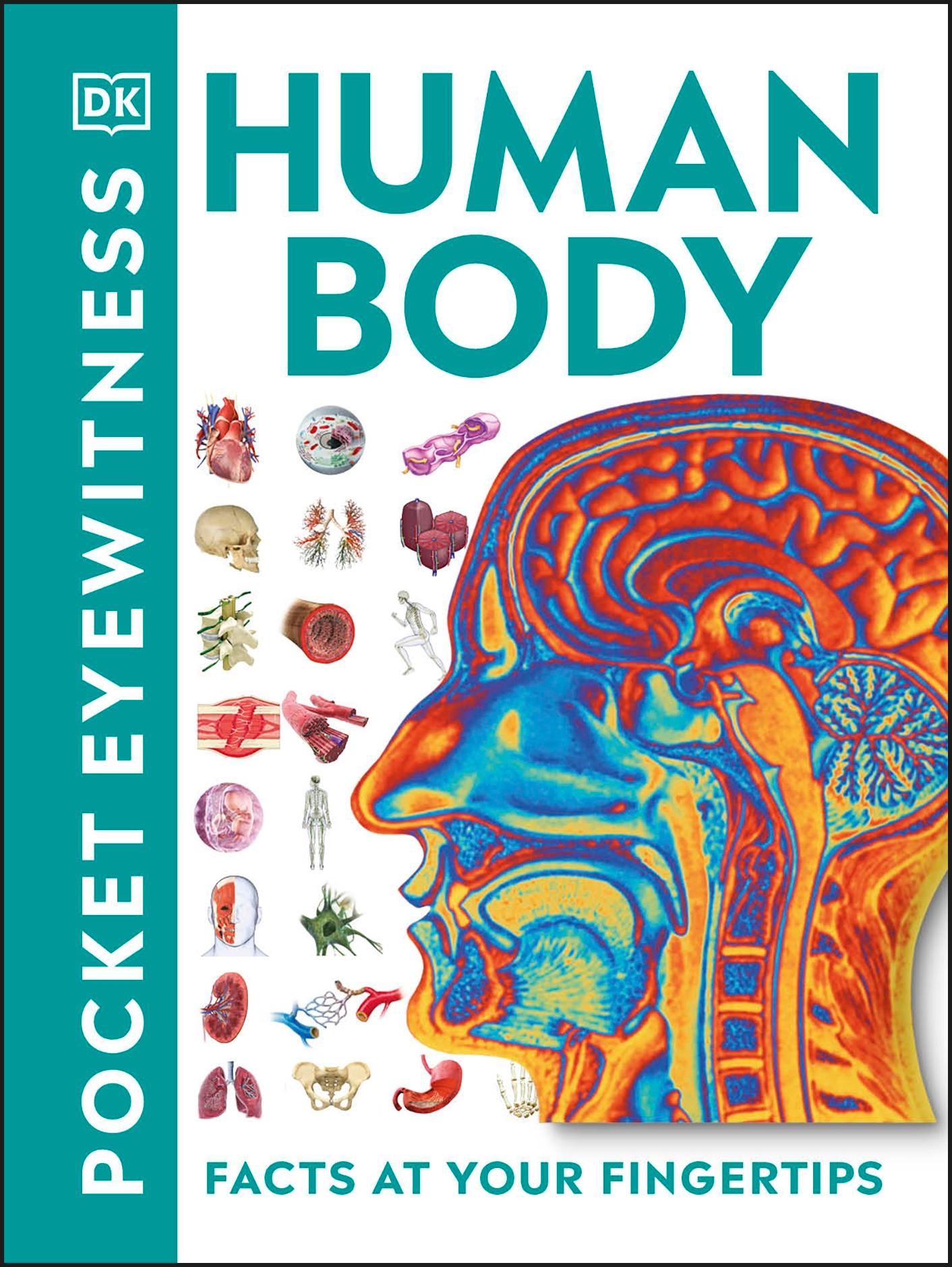 Cover: 9780241343630 | Pocket Eyewitness Human Body | Facts at Your Fingertips | Dk | Buch