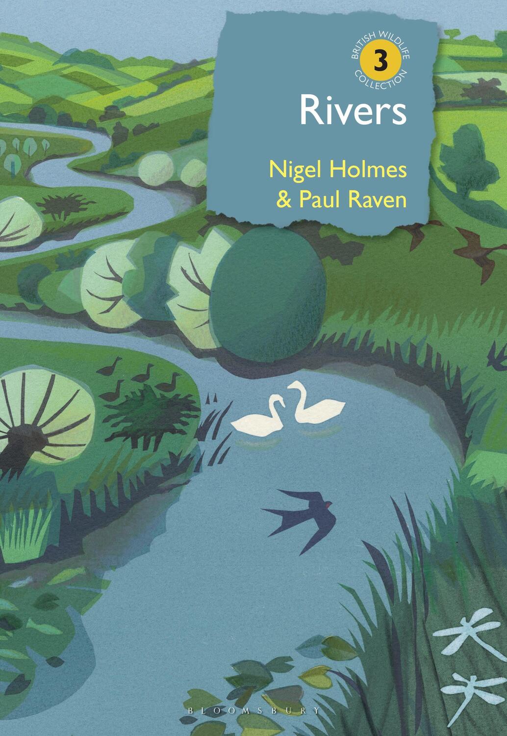 Cover: 9781472960351 | Rivers | A natural and not-so-natural history | Dr Paul Raven (u. a.)