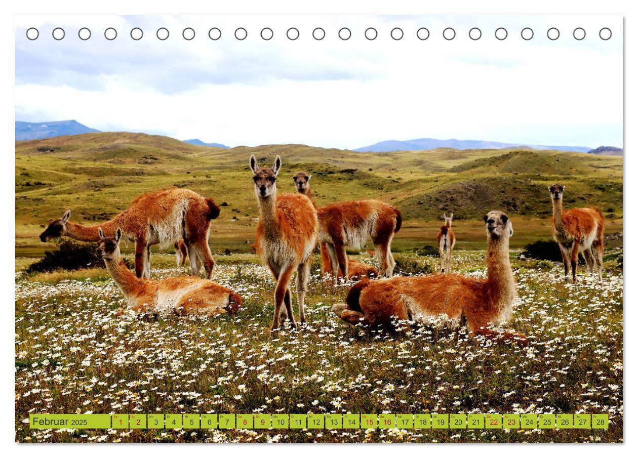 Bild: 9783435290192 | Märchenwelt Patagonien (Tischkalender 2025 DIN A5 quer), CALVENDO...