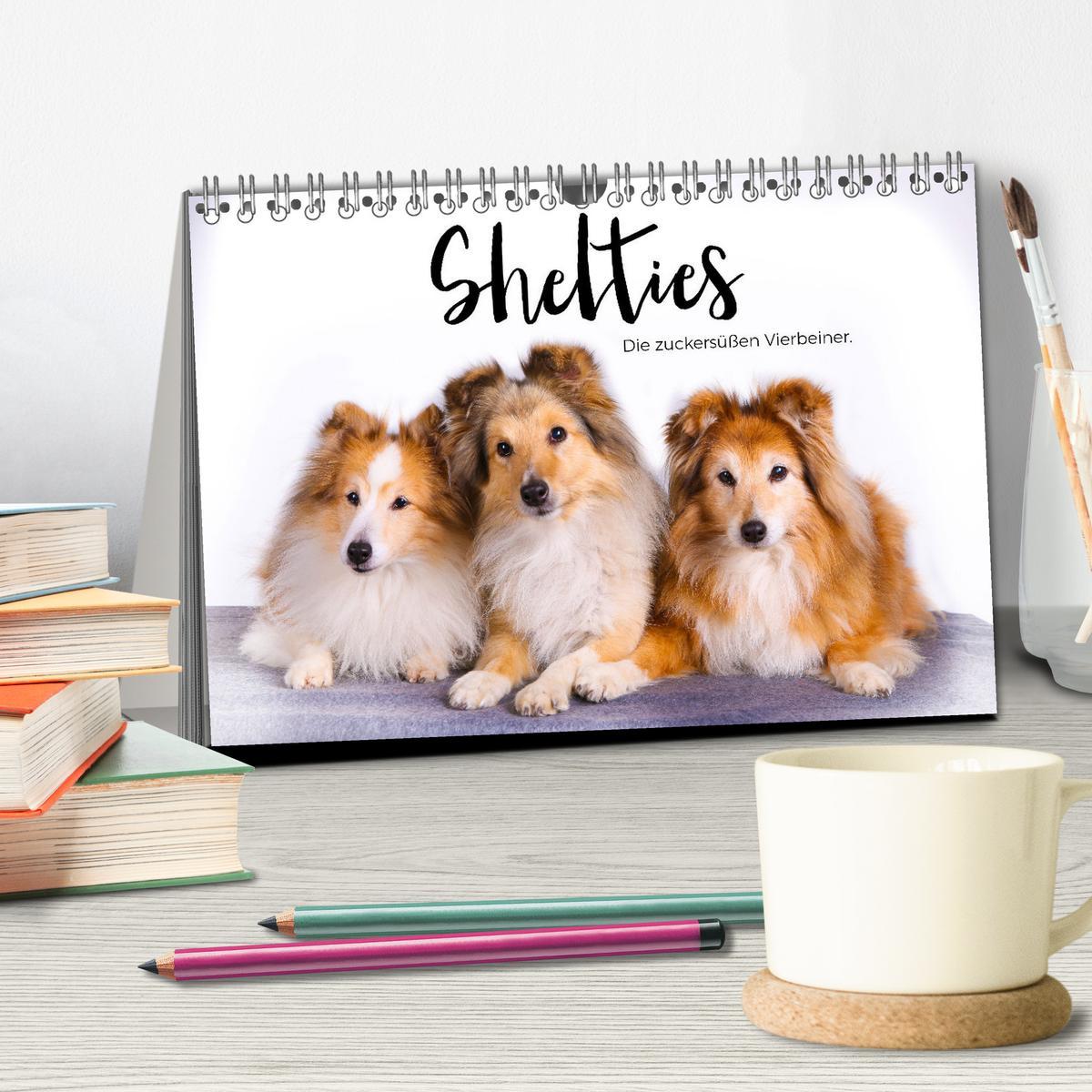 Bild: 9783383916519 | Shelties - Die zuckersüßen Vierbeiner. (Tischkalender 2025 DIN A5...