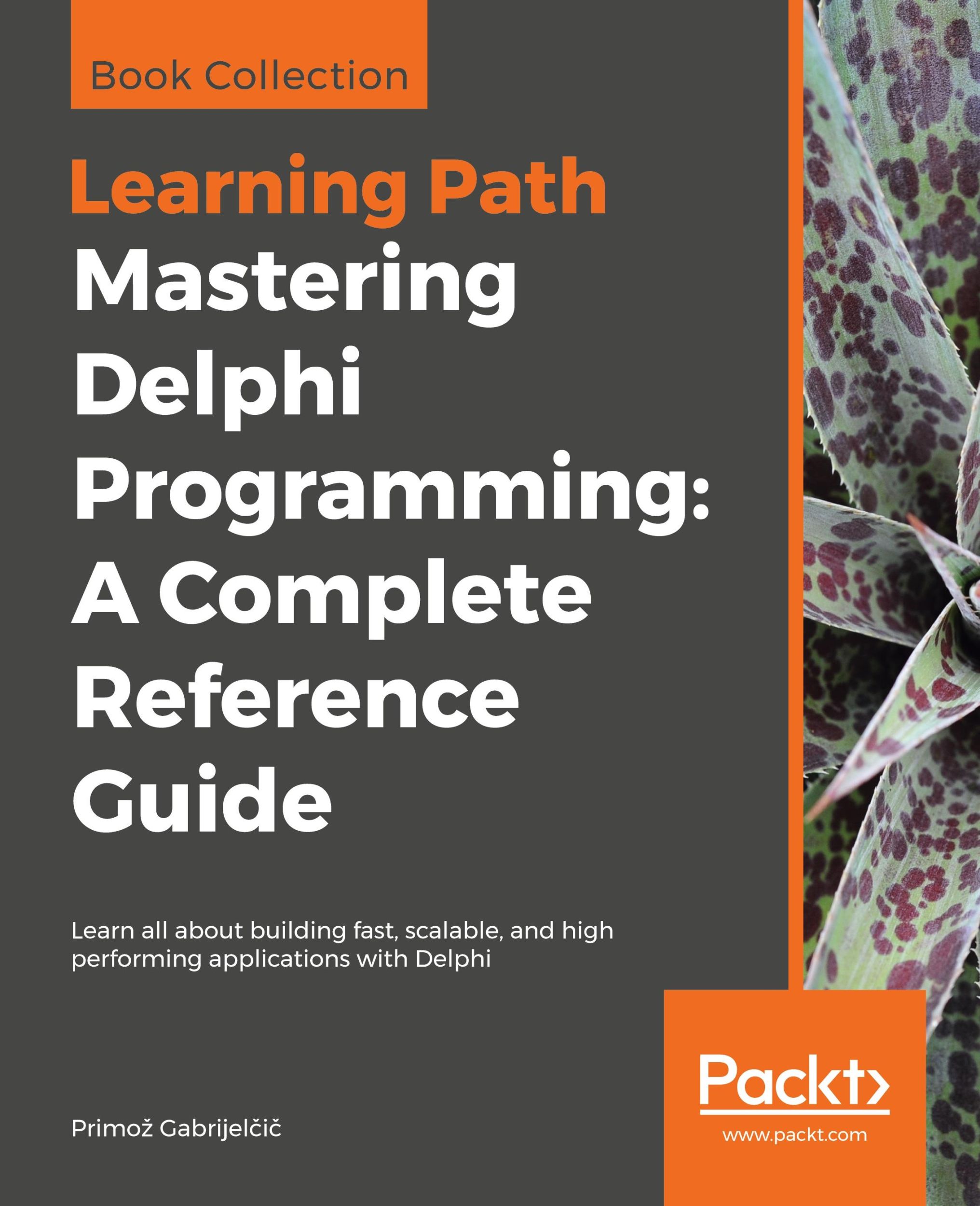 Cover: 9781838989118 | Mastering Delphi Programming | A Complete Reference Guide | Buch