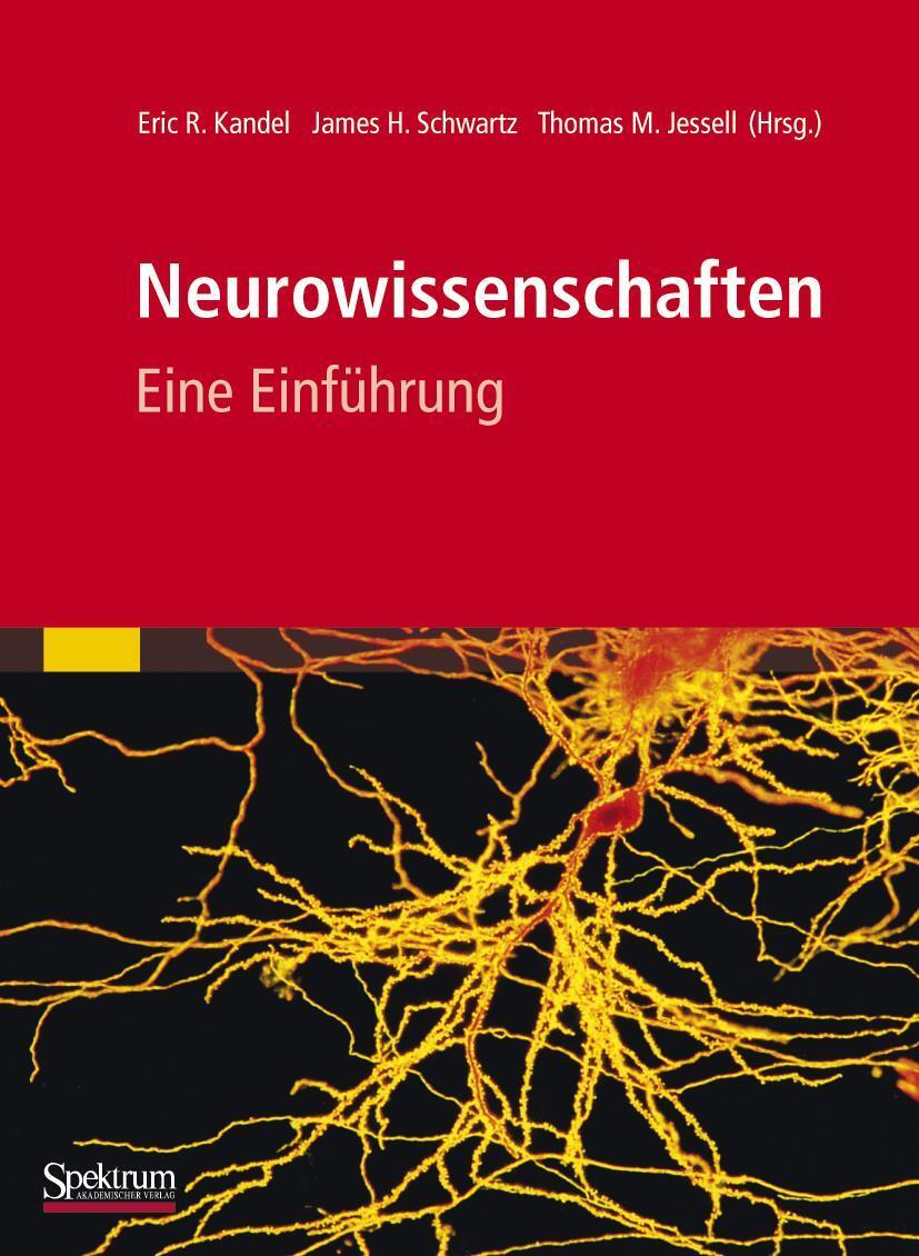 Cover: 9783827429056 | Neurowissenschaften | Eine Einführung | Eric R. Kandel (u. a.) | Buch