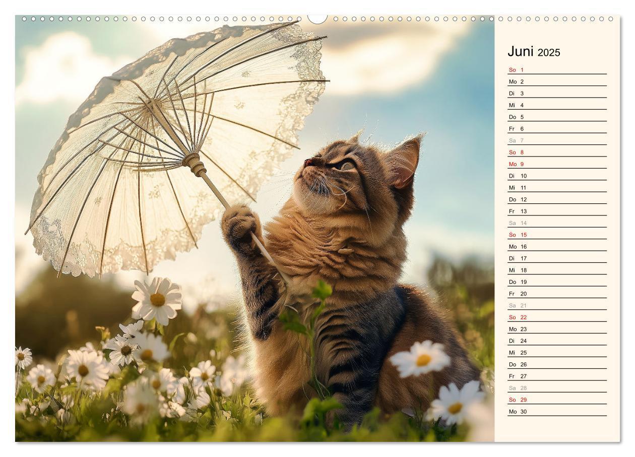 Bild: 9783457179857 | Katzen schaffen Kunst (Wandkalender 2025 DIN A2 quer), CALVENDO...