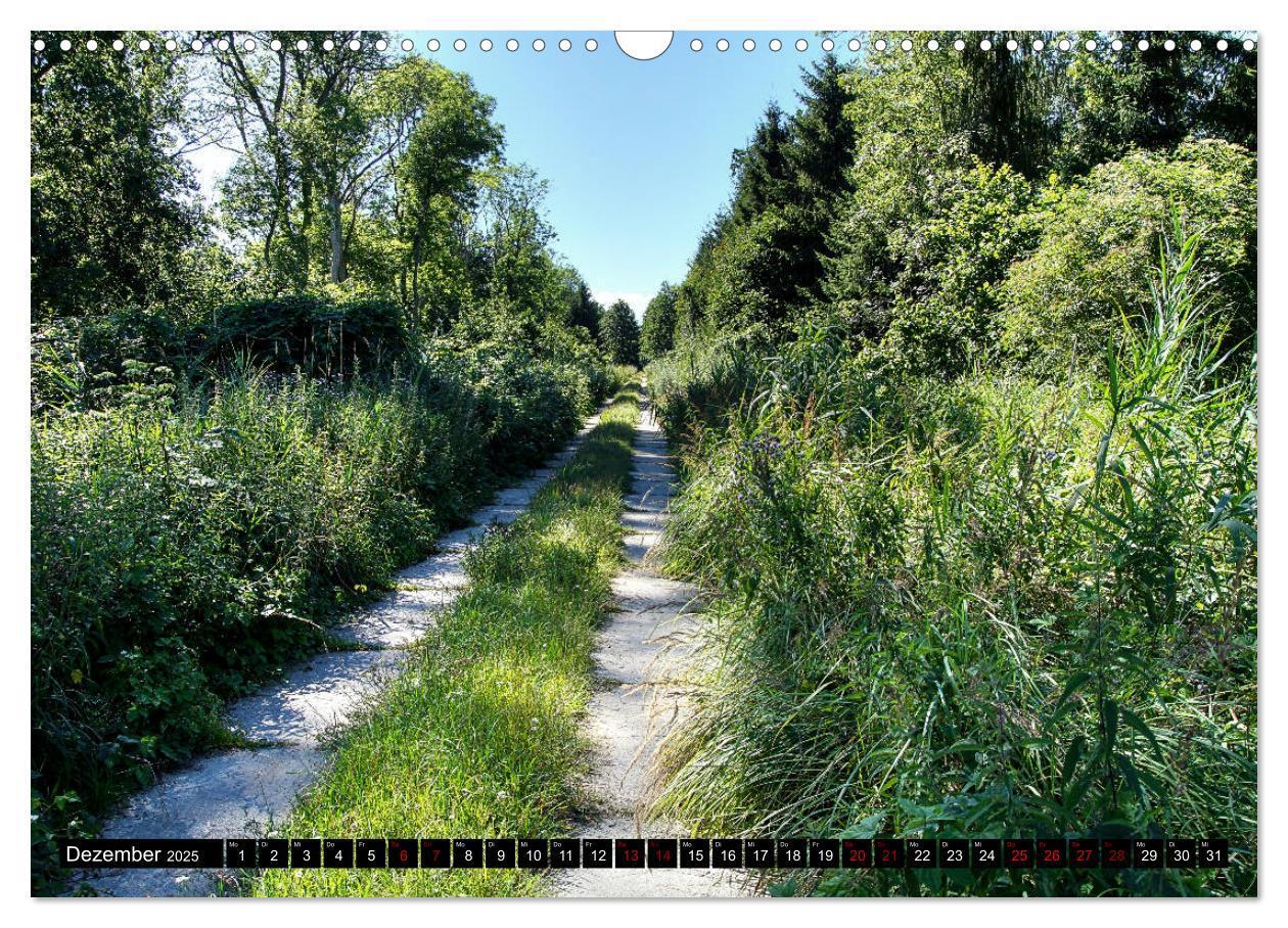 Bild: 9783435440139 | Das idyllische Usedom (Wandkalender 2025 DIN A3 quer), CALVENDO...