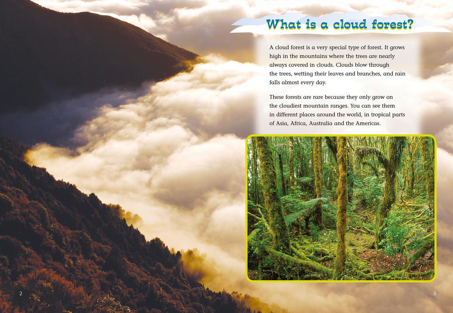 Bild: 9780007186419 | Cloud Forest | Band 11/Lime | Nic Bishop | Taschenbuch | Englisch