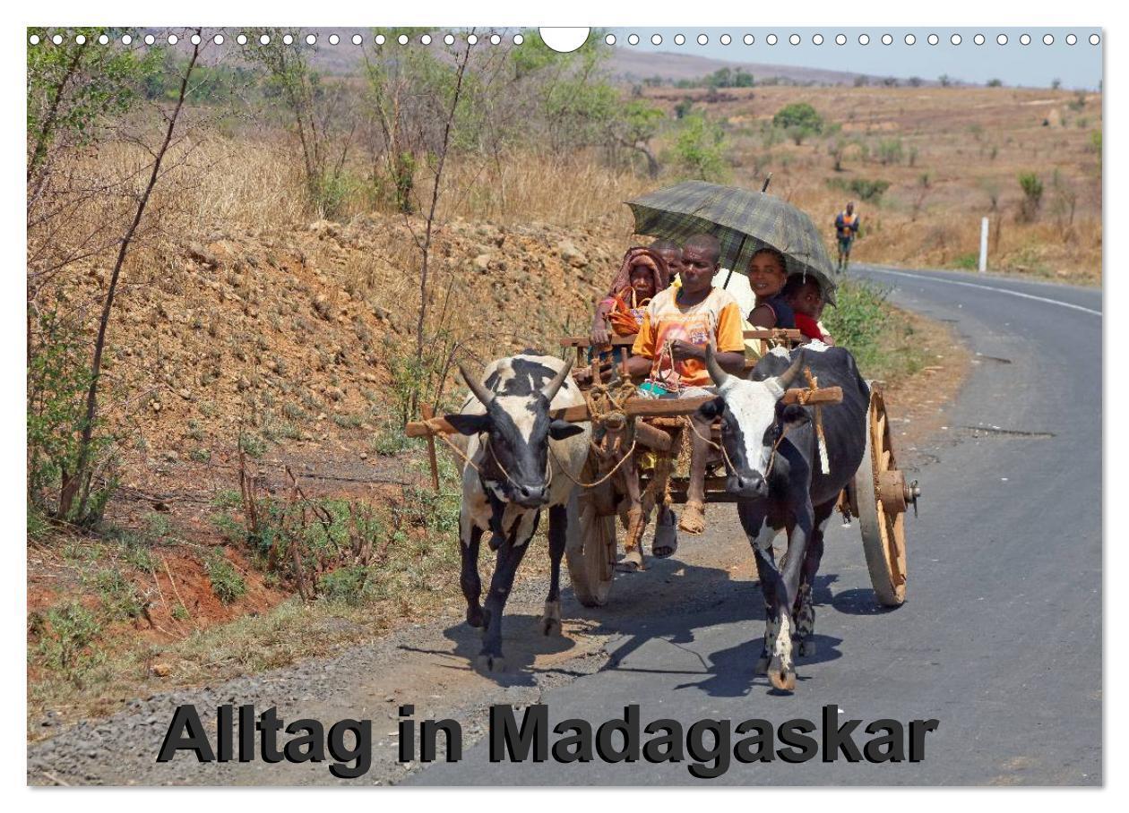 Cover: 9783435479702 | Alltag in Madagaskar (Wandkalender 2025 DIN A3 quer), CALVENDO...