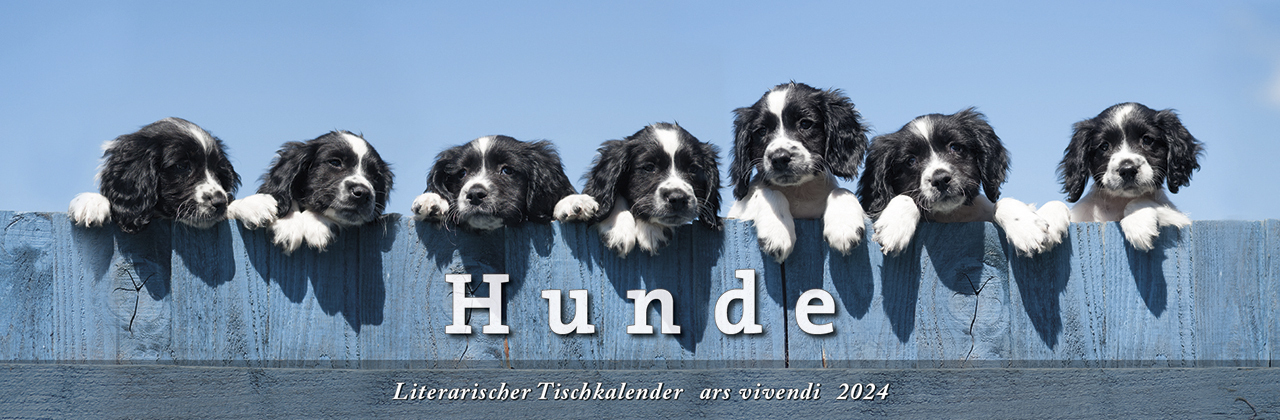Cover: 9783747204986 | Literarischer Tischkalender Hunde 2024 | ars vivendi Verlag | Kalender