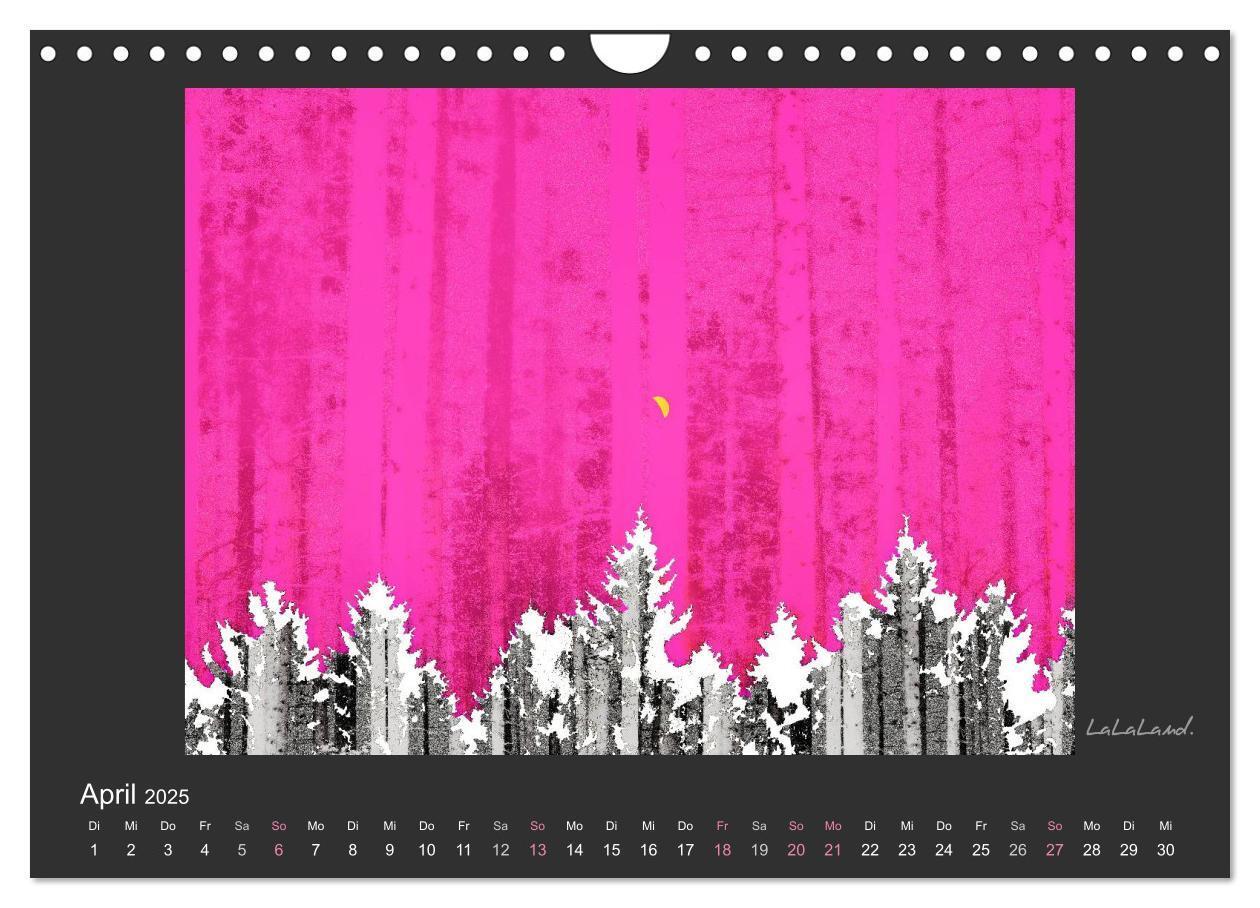 Bild: 9783435649501 | Schwarzwald. Anders. (Wandkalender 2025 DIN A4 quer), CALVENDO...