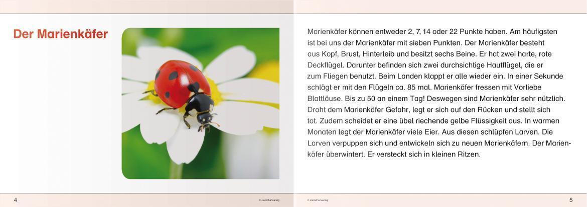 Bild: 9783939293200 | Ich kenne Waldtiere / Haus- und Hoftiere / Insekten und Spinnen. 3...