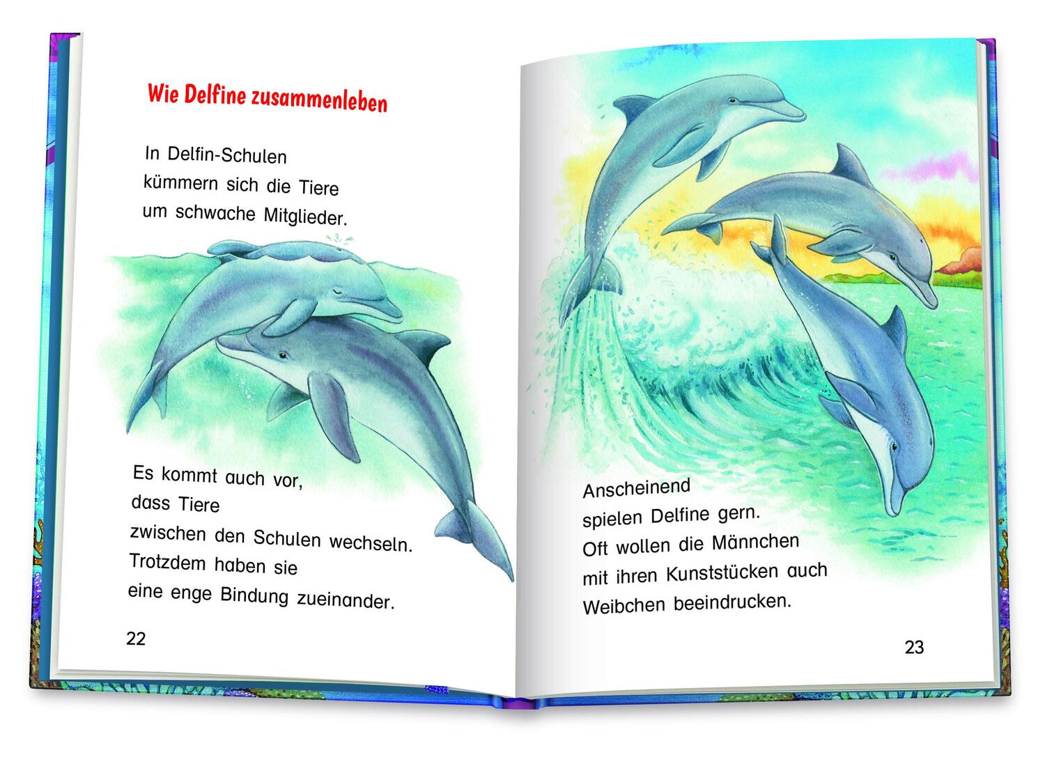 Bild: 9783401718347 | Die Delfine | Friederun Reichenstetter | Buch | Deutsch | 2022 | Arena