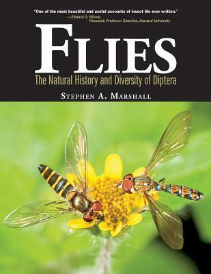 Cover: 9781770851009 | Flies | The Natural History &amp; Diversity of Diptera | Marshall | Buch