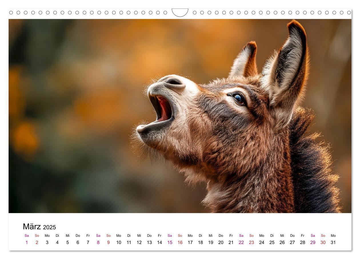 Bild: 9783457215197 | Esel - neugierige Typen (Wandkalender 2025 DIN A3 quer), CALVENDO...