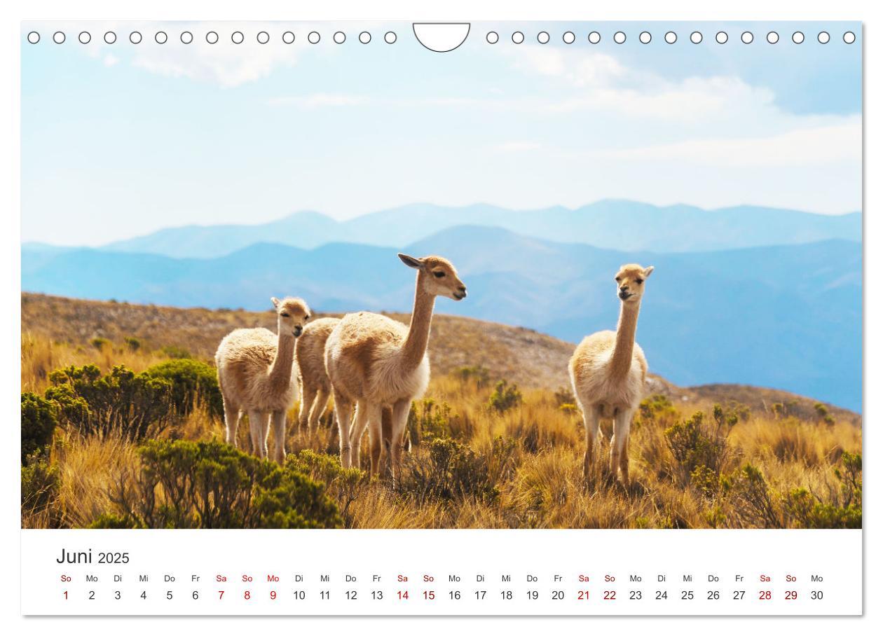 Bild: 9783435004287 | Argentinien - vielseitig und kontrastreich (Wandkalender 2025 DIN...