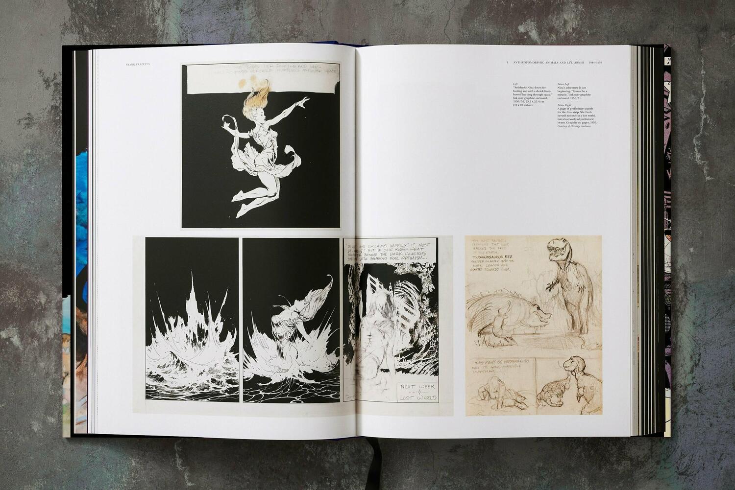 Bild: 9783836579216 | The Fantastic Worlds of Frank Frazetta | Dan Nadel (u. a.) | Buch