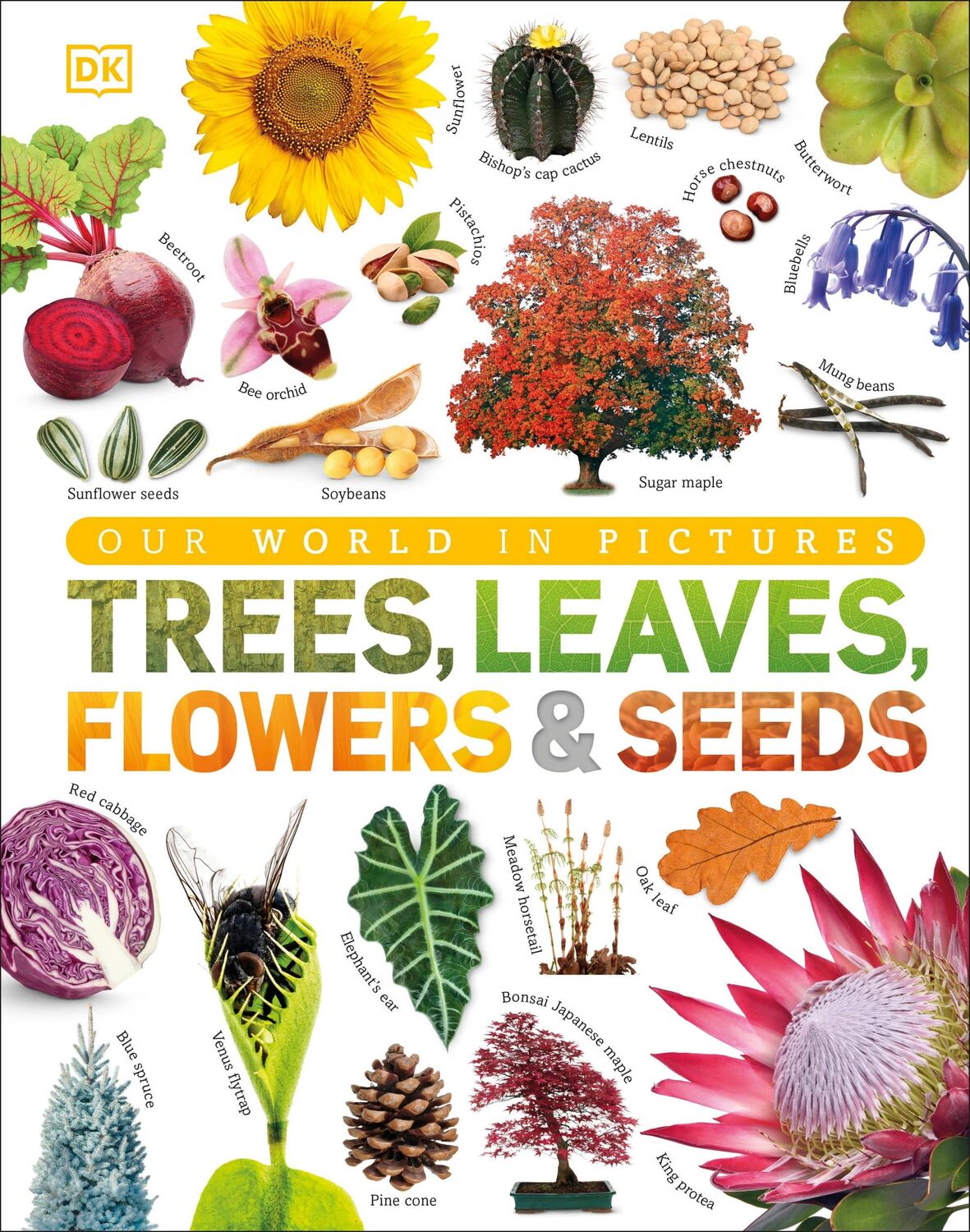 Cover: 9780241339923 | Our World in Pictures: Trees, Leaves, Flowers &amp; Seeds | Buch | 2019