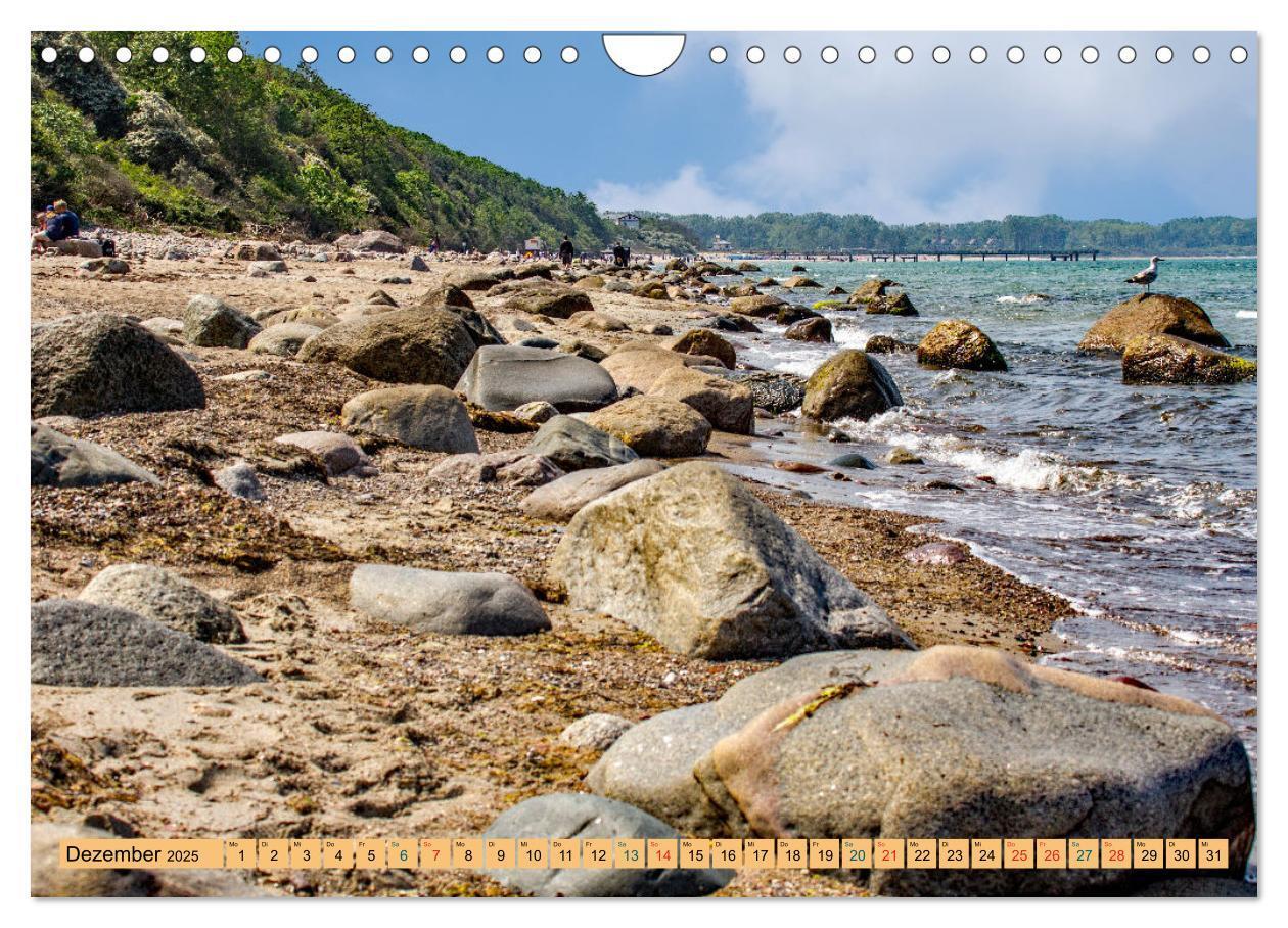 Bild: 9783435608034 | Impressionen Ostseebad Rerik (Wandkalender 2025 DIN A4 quer),...