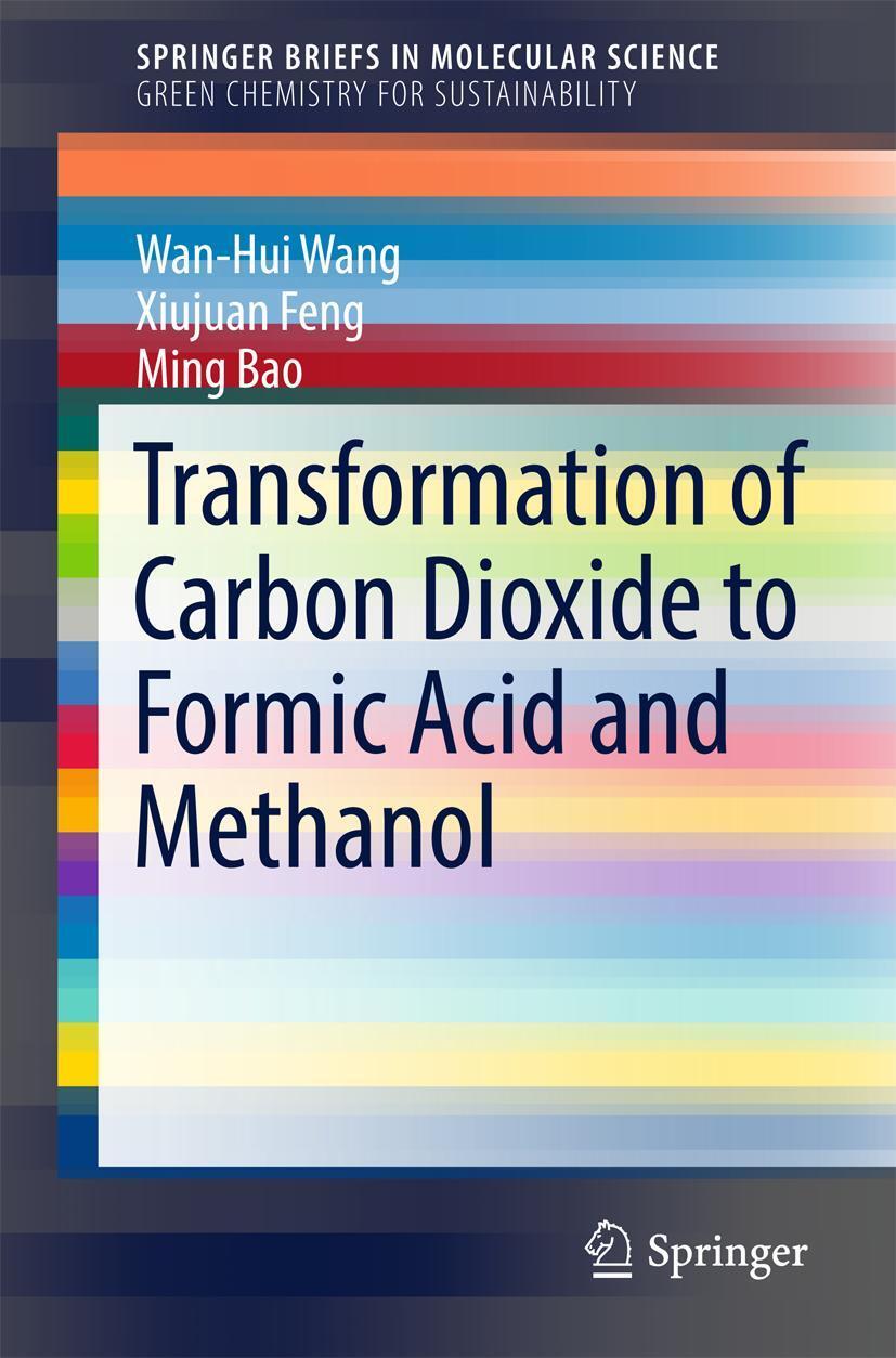 Cover: 9789811032493 | Transformation of Carbon Dioxide to Formic Acid and Methanol | Buch
