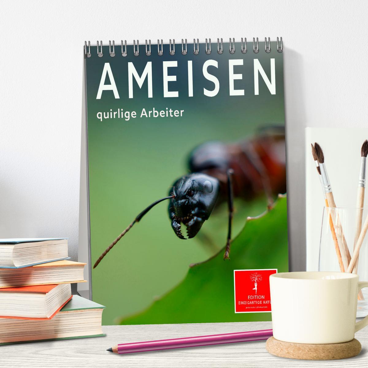 Bild: 9783435906291 | Ameisen quirlige Arbeiter (Tischkalender 2025 DIN A5 hoch),...