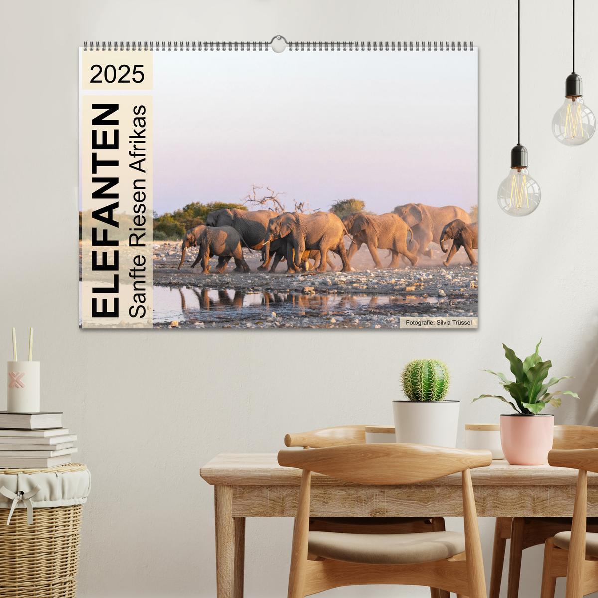 Bild: 9783435242337 | Elefanten - Sanfte Riesen Afrikas (Wandkalender 2025 DIN A2 quer),...