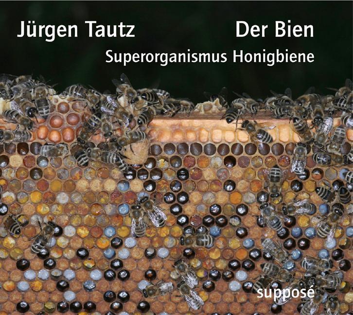 Cover: 9783932513800 | Der Bien | Superorganismus Honigbiene | Jürgen Tautz | Audio-CD | 2007